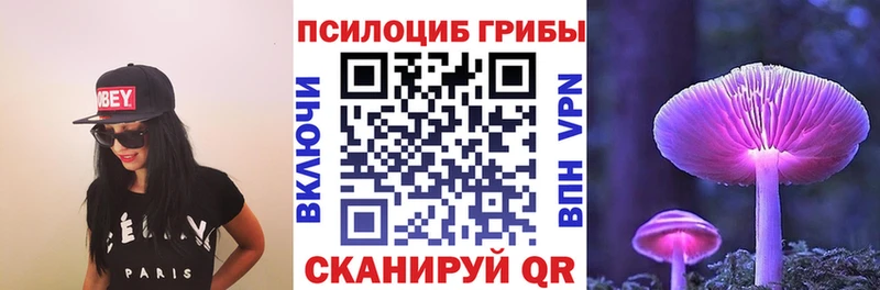 цены наркотик  Гаджиево  Галлюциногенные грибы GOLDEN TEACHER 